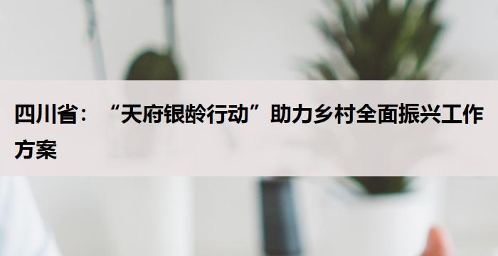 四川省:“天府银龄行动”助力乡村全面振兴工作方案