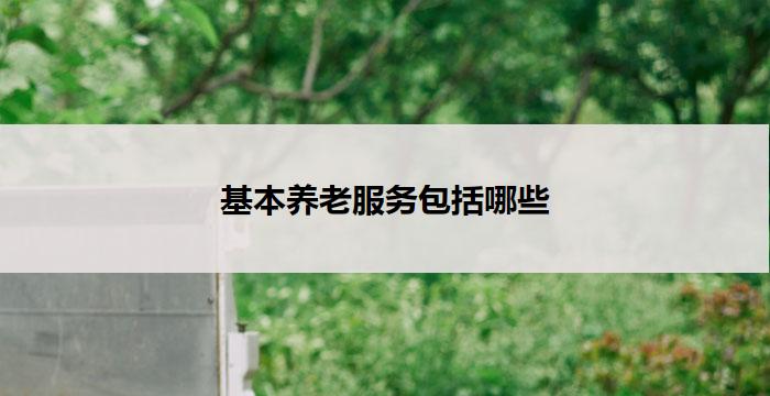 基本养老服务包括哪些(基本养老服务内容概述)