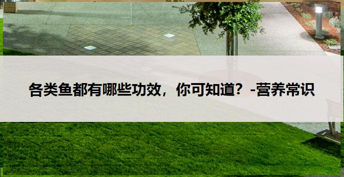 各类鱼都有哪些功效,你可知道?-营养常识