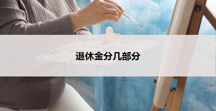 退休金分几部分(退休金分配:细分规划与合理分配)