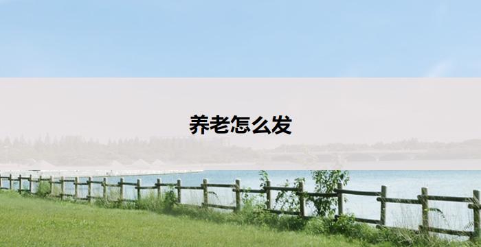 养老怎么发(养老发展：关注老年人的需求与挑战)