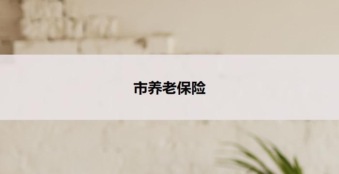 市养老保险(市养老保险：为老年人安心晚年)