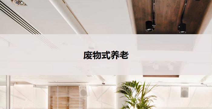 废物式养老(废物式养老：创新关怀与环保共融)