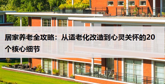 居家养老全攻略：从适老化改造到心灵关怀的20个核心细节