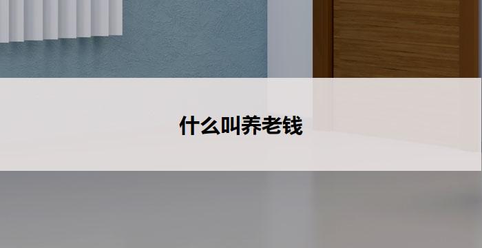 什么叫养老钱(养老钱:关键之所在)
