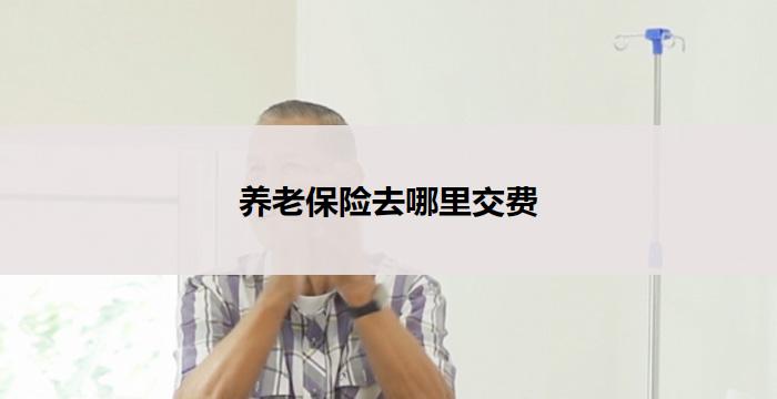 养老保险去哪里交费(养老保险缴费地点在哪儿?)
