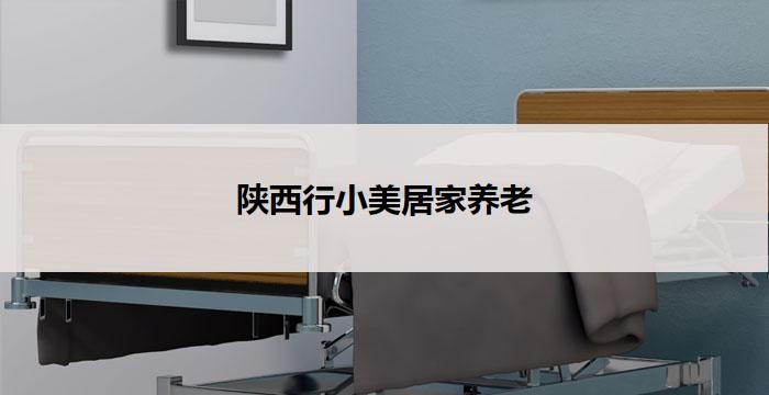陕西行小美居家养老(陕西行小美居：家庭式养老服务中心)