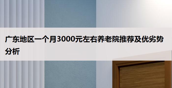 广东地区一个月3000元左右养老院推荐及优劣势分析