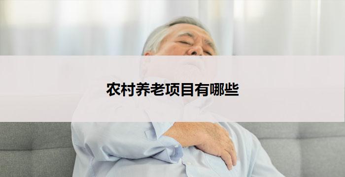 农村养老项目有哪些(农村养老项目：关注老年人福利，助力农村发展)
