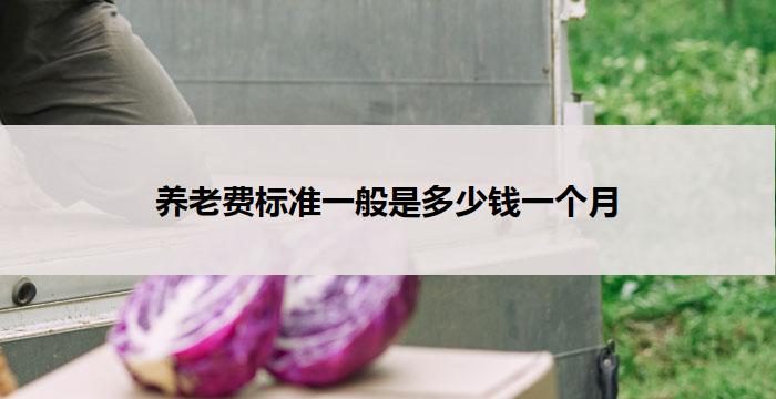 养老费标准一般是多少钱一个月(养老费标准:一个月一般多少钱?)