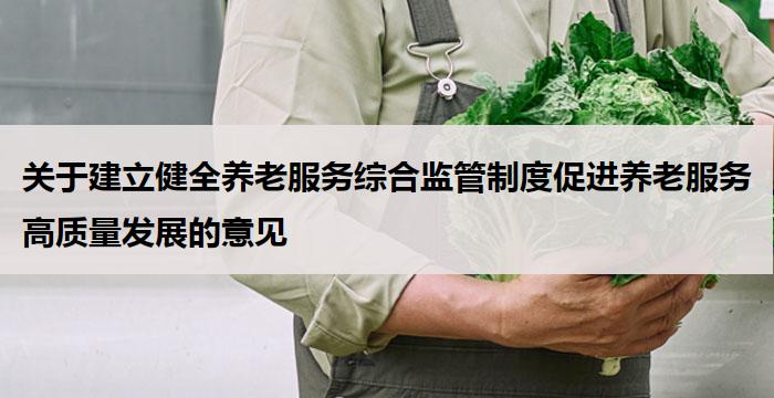 关于建立健全养老服务综合监管制度促进养老服务高质量发展的意见