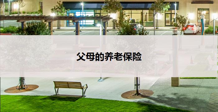 父母的养老保险(父母养老保险：照顾他们的未来)