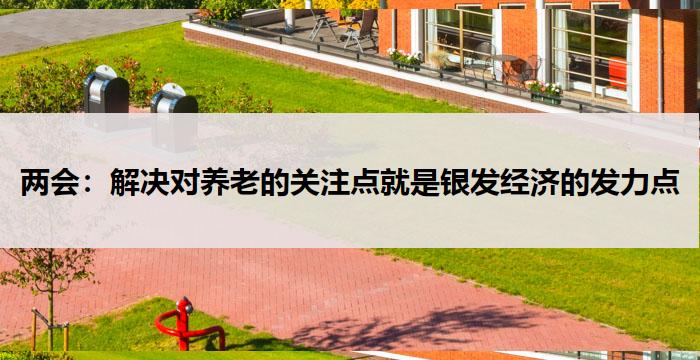 两会:解决对养老的关注点就是银发经济的发力点