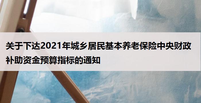 关于下达2021年城乡居民基本养老保险中央财政补助资金预算指标的通知
