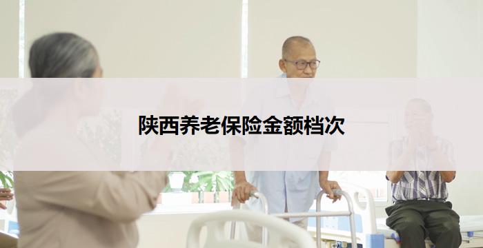陕西养老保险金额档次(陕西养老保险金额分级，满足不同需求)