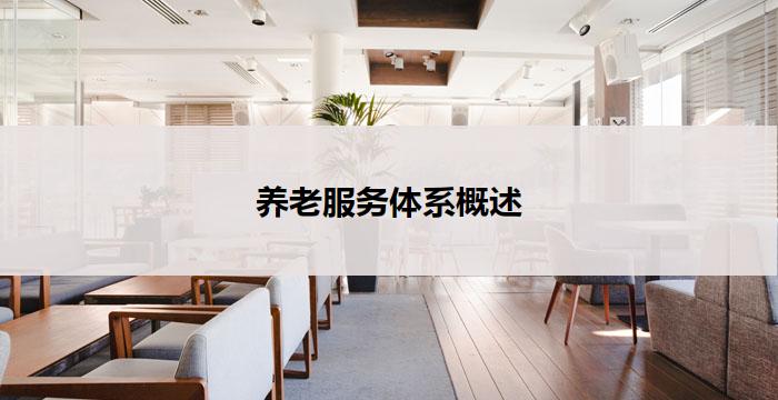 养老服务体系概述