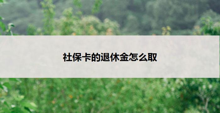 社保卡的退休金怎么取(社保卡退休金取款攻略)