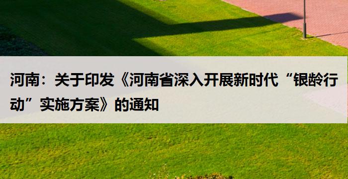 河南：关于印发《河南省深入开展新时代“银龄行动”实施方案》的通知