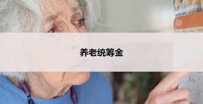 养老统筹金(养老统筹金：构建未来的保障网络)