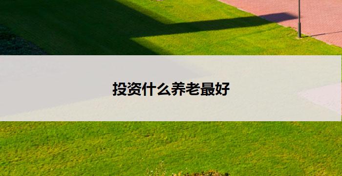 投资什么养老最好(最佳养老投资选择)