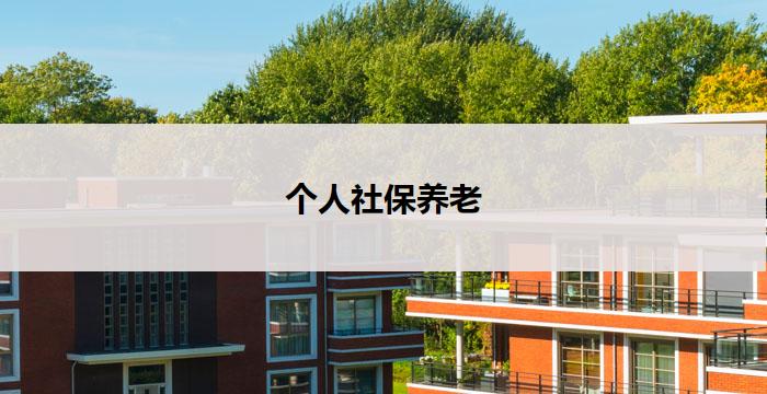 个人社保养老(个人社保养老：打造自己的养老保障体系)