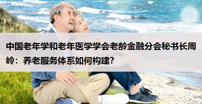 中国老年学和老年医学学会老龄金融分会秘书长周岭:养老服务体系如何构建?