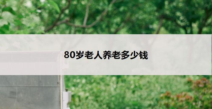 80岁老人养老多少钱(80岁老人养老费用大揭秘)