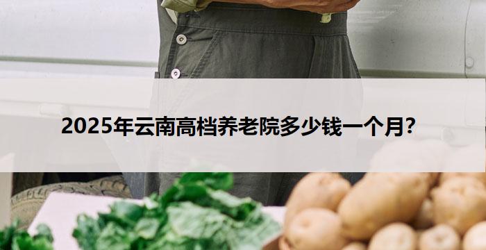 2025年云南高档养老院多少钱一个月?