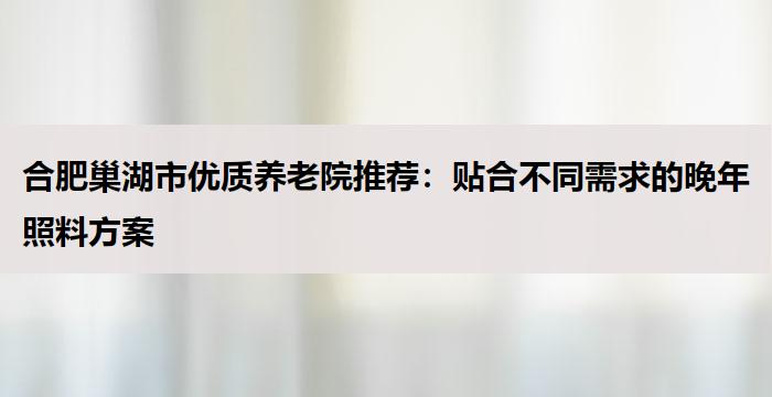 合肥巢湖市优质养老院推荐:贴合不同需求的晚年照料方案
