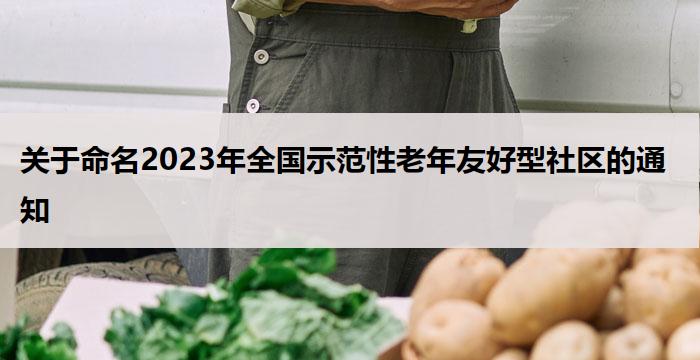 关于命名2023年全国示范性老年友好型社区的通知