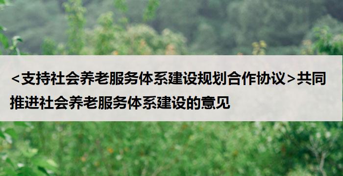 <支持社会养老服务体系建设规划合作协议>共同推进社会养老服务体系建设的意见