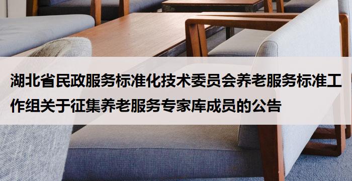 湖北省民政服务标准化技术委员会养老服务标准工作组关于征集养老服务专家库成员的公告