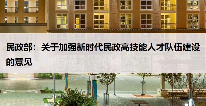 民政部：关于加强新时代民政高技能人才队伍建设的意见