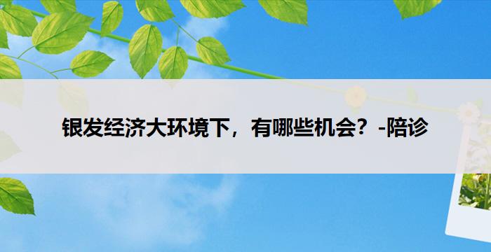 银发经济大环境下，有哪些机会？-陪诊