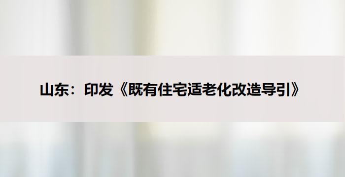 山东：印发《既有住宅适老化改造导引》