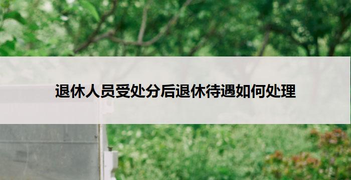 退休人员受处分后退休待遇如何处理(退休人员受处分后退休待遇处理方案)