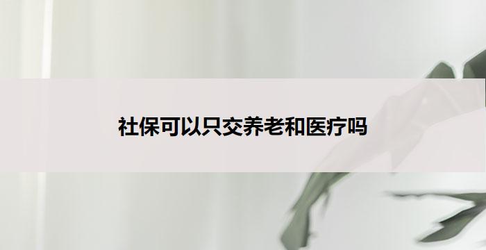 社保可以只交养老和医疗吗(社保养老医疗可分担)