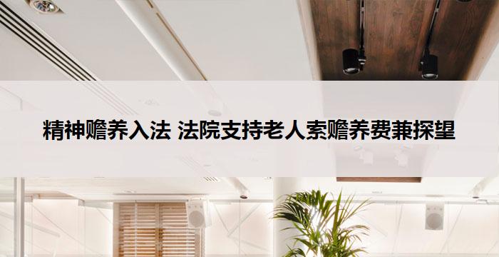 精神赡养入法 法院支持老人索赡养费兼探望