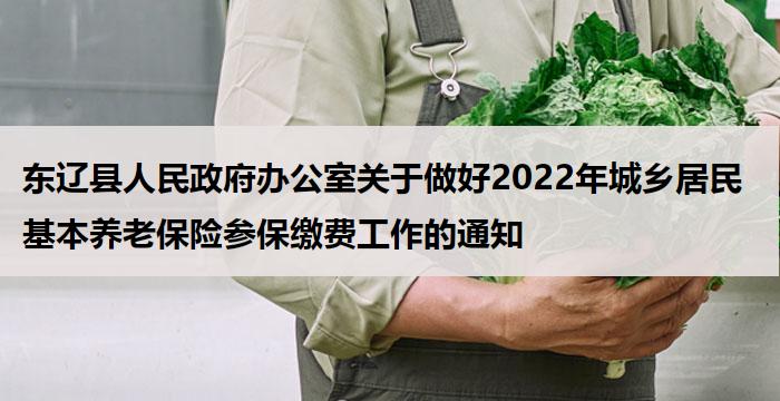 东辽县人民政府办公室关于做好2022年城乡居民基本养老保险参保缴费工作的通知