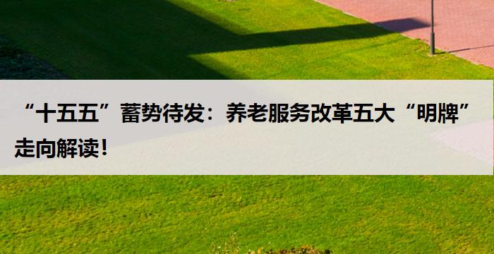“十五五”蓄势待发：养老服务改革五大“明牌”走向解读！