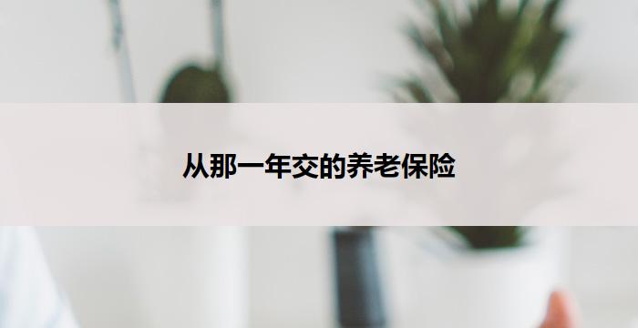 从那一年交的养老保险(从那一年起，养老保险成为焦点)
