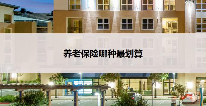 养老保险哪种最划算