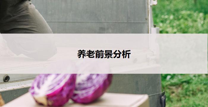 养老前景分析(养老前景分析:未来的挑战与机遇)