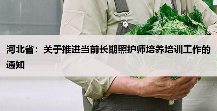 河北省：关于推进当前长期照护师培养培训工作的通知