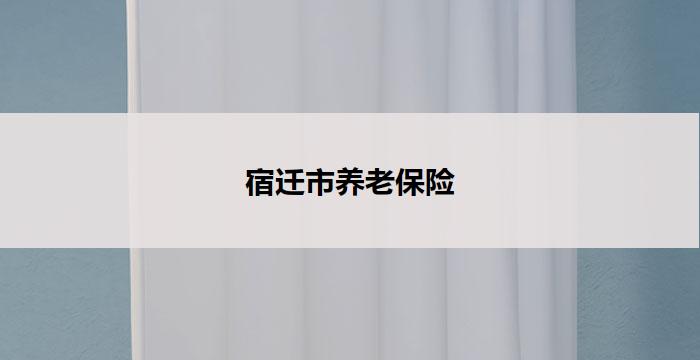 宿迁市养老保险(宿迁市养老保险政策全解析)