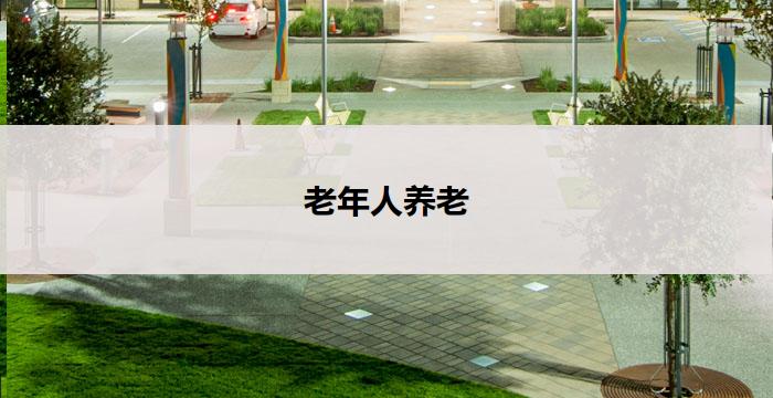 老年人养老