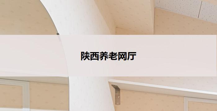 陕西养老网厅(陕西养老网厅：服务老年人的智慧之选)