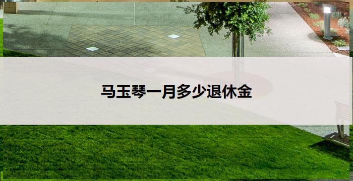 马玉琴一月多少退休金(马玉琴退休金多少？)