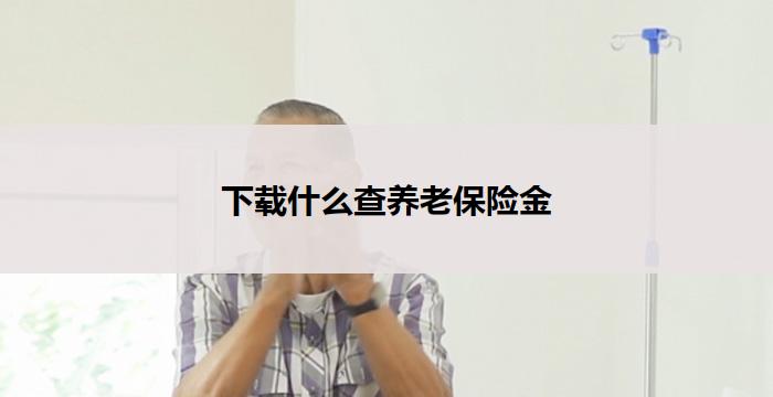 下载什么查养老保险金(下载养老保险金查询APP)