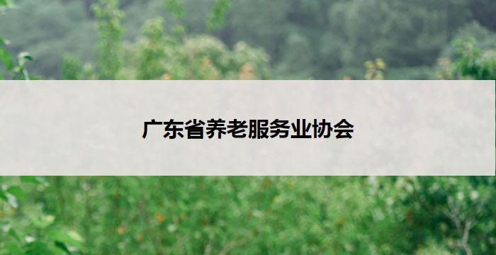 广东省养老服务业协会(广东省养老服务业协会:关爱老年人,共建幸福晚年)